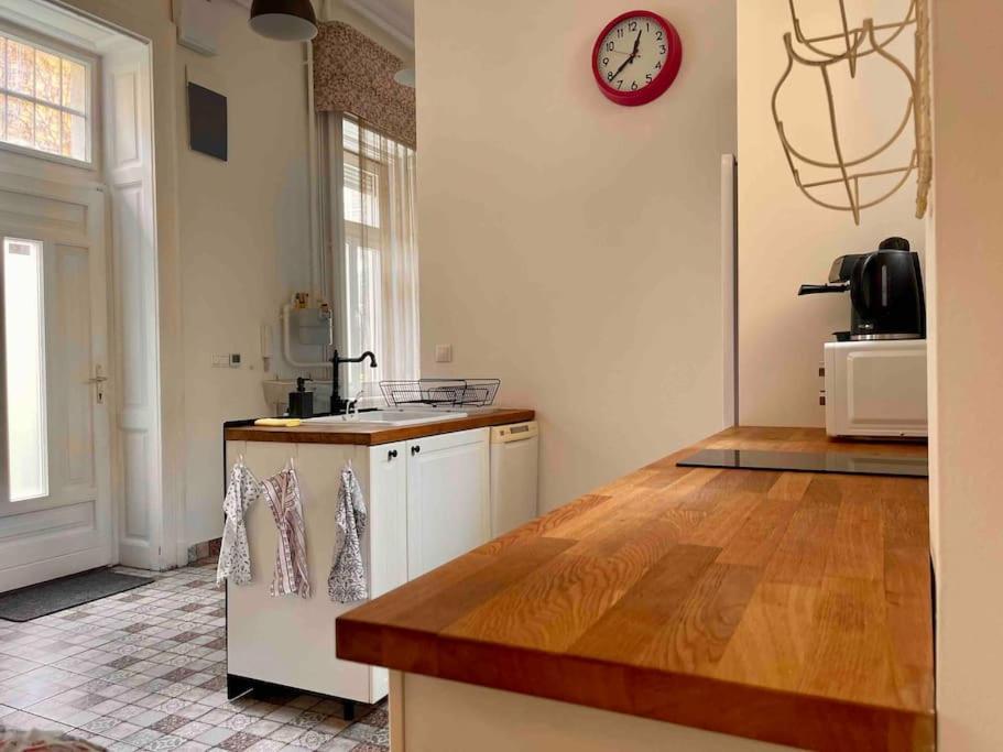 Knezits Spacious Ac Terrace Free Parking Budapest Exterior foto