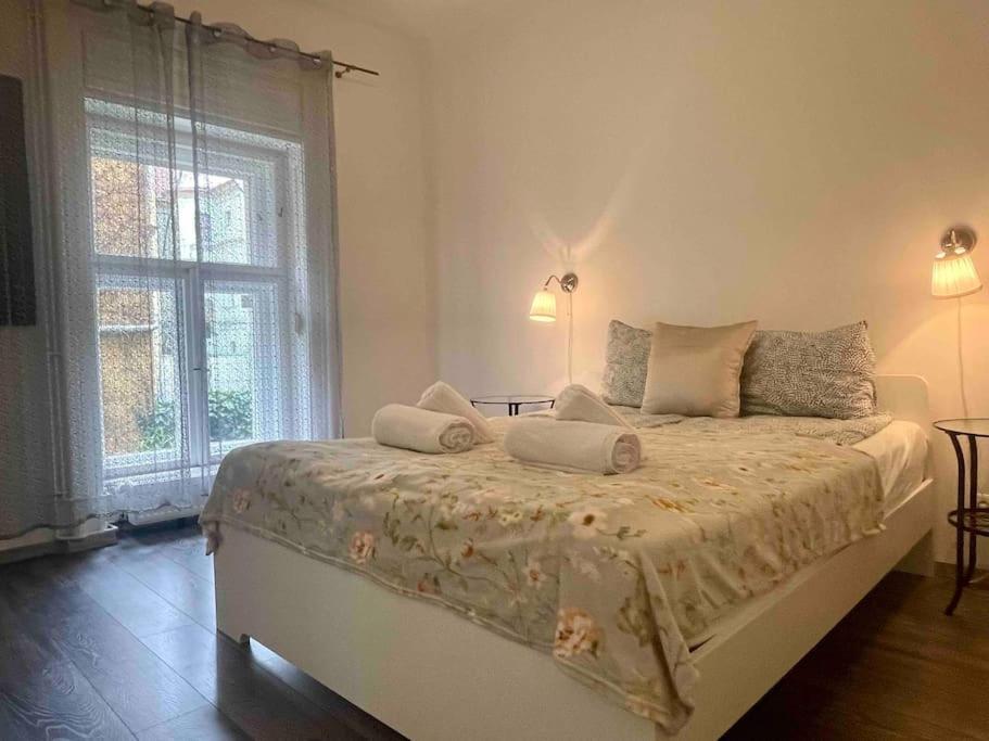 Knezits Spacious Ac Terrace Free Parking Budapest Exterior foto